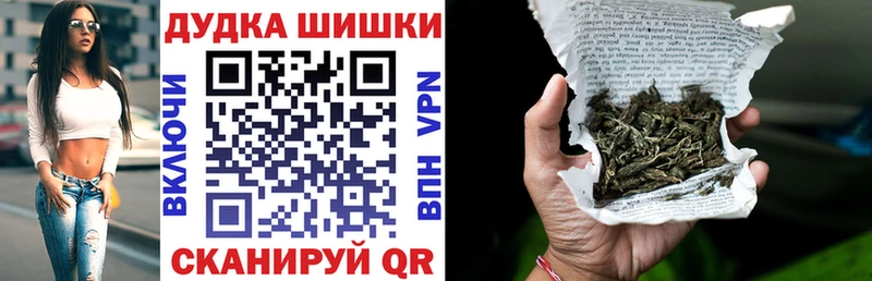 MEGA как зайти  Заринск  МАРИХУАНА план  цена  